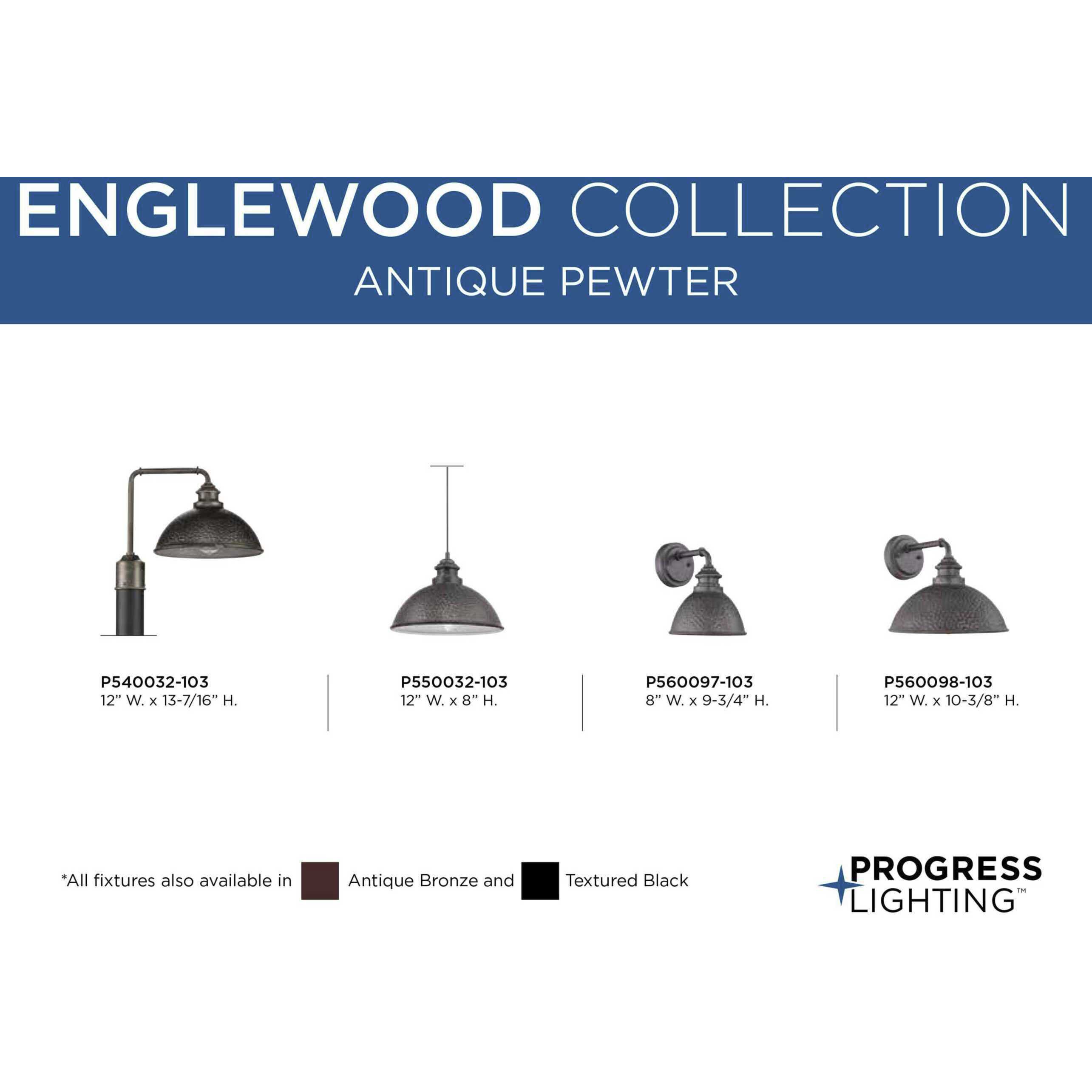 Englewood 1 Light 10 inch Antique Pewter Outdoor Wall Lantern, Small